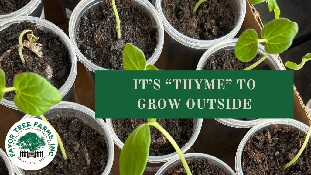 It’s “THYME” to GROW Outside
